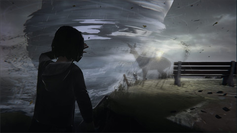 Life is Strange - Edition Limitée